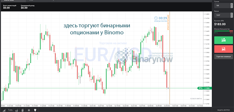 Общий вид торгового пространства